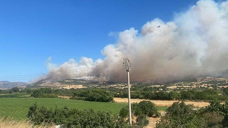Çanakkale'de orman yangını