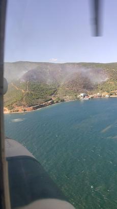 Yalova’da orman yangını (3)