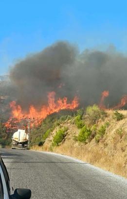 Alanya'da orman yangını/ Ek fotoğraf (2)