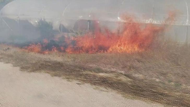 Çatalca'da otluk alanda çıkan yangın seraya sıçradı