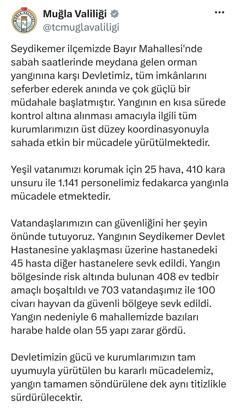 Muğla’da orman yangını (8)