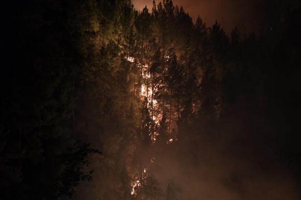 Alanya'da orman yangını / Ek Fotoğraflar (3)