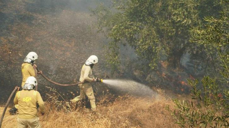 Balıkesir Edremit'teki yangın 2'nci gününde