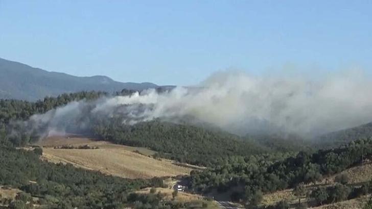 Çanakkale Bayramiç’teki orman yangını 4,5 saatte kontrol altına alındı