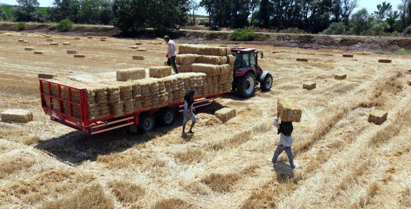 Tekirdağ'da balya bağlama ile açık alanda ateş yakılması yasaklandı
