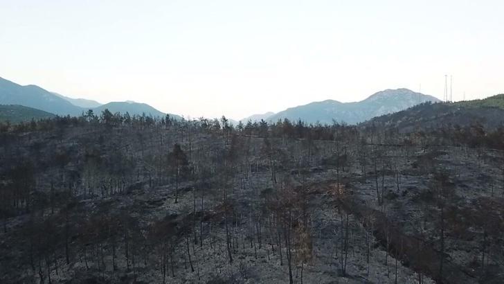 Muğla’daki yangınlarda 5 bin hektardan fazla alan zarar gördü