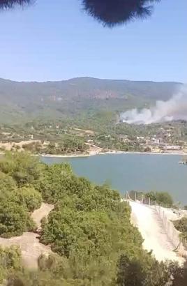 Aydın'daki orman yangınına havadan müdahale yeniden başladı (4)