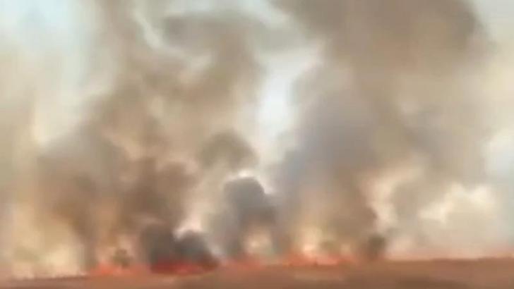 Nusaybin'de mayınlı sınır hattında anız yangını