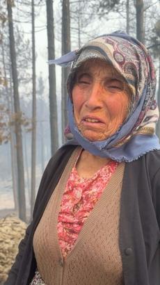 Aydın'daki orman yangınına havadan müdahale yeniden başladı (5)