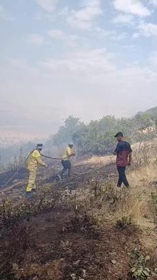 Siirt’te örtü yangını; 60 dönüm zarar gördü