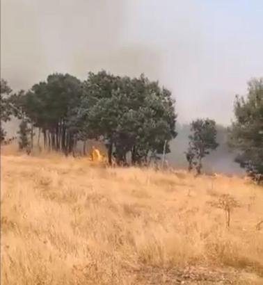 Lice kırsalında örtü yangını