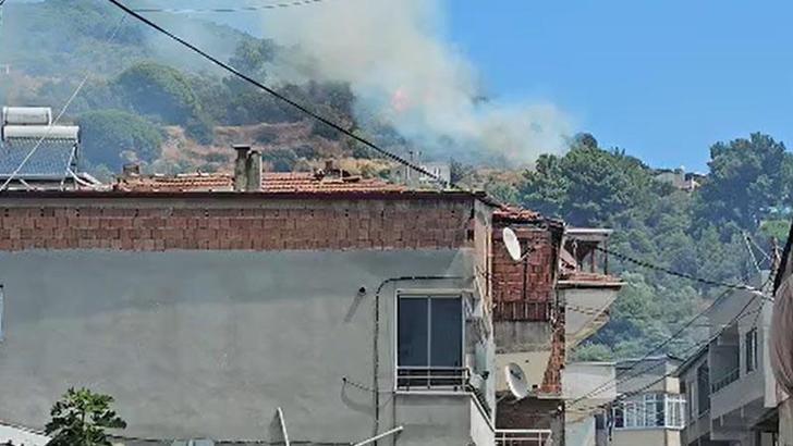 Marmara Adası’nda orman yangını