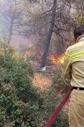 İzmir'de orman yangını