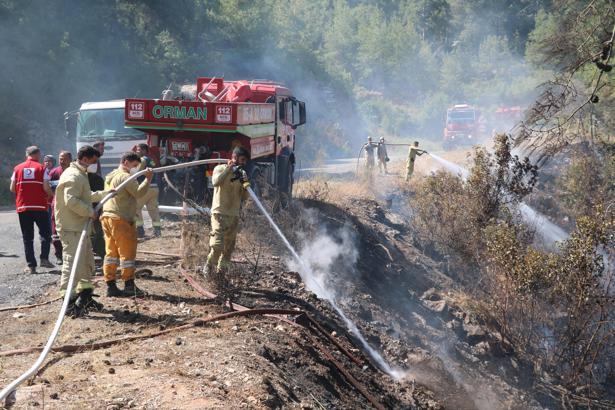 Antalya'da orman yangını (3)