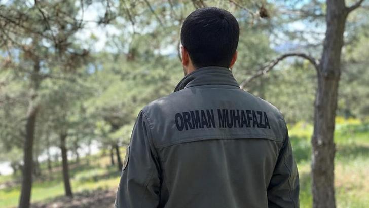 KDK'dan, diyabet hastası orman muhafaza memuru için 'açık arazide çalışmasın' tavsiye kararı
