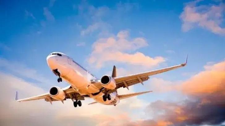 2025 yılında pilotlar tarafından en çok kuş çarpma olayları rapor edildi