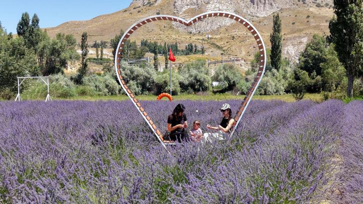 Emeklilikte yaşadığı boşluğu lavanta bahçesi ile doldurdu
