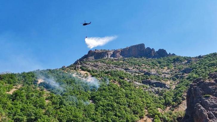 Munzur Vadisi Milli Parkı'ndaki yangın kontrol altına alındı