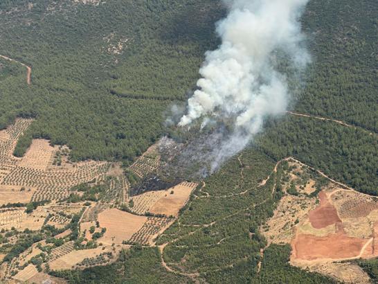 Muğla'da orman yangını