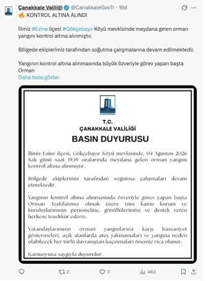 Çanakkale'de otluk alanda çıkan yangın ormana sıçradı (3)