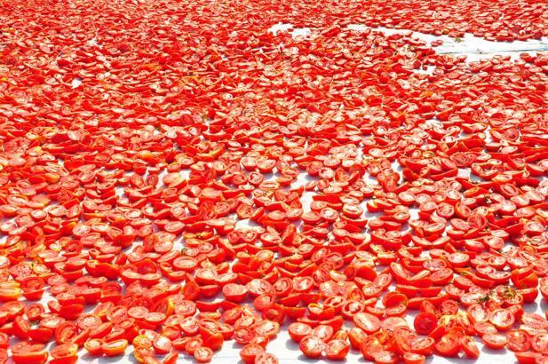 Manisa'da kurutulan domatesler 91 ülkenin sofralarına gidiyor