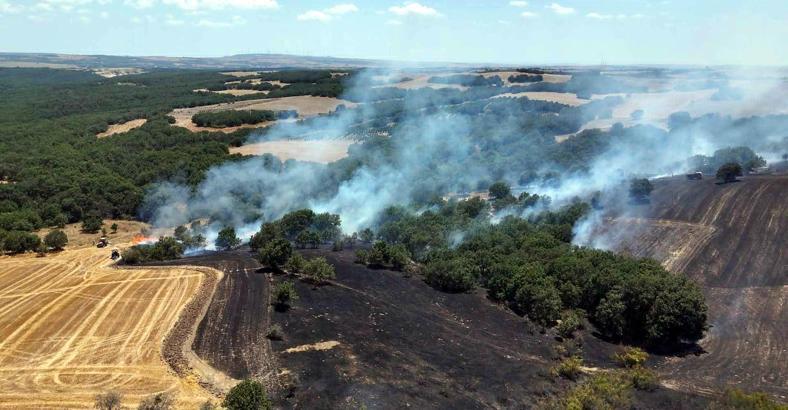 Tekirdağ'da itfaiye 7 ayda 8 bin 157 olaya müdahale etti