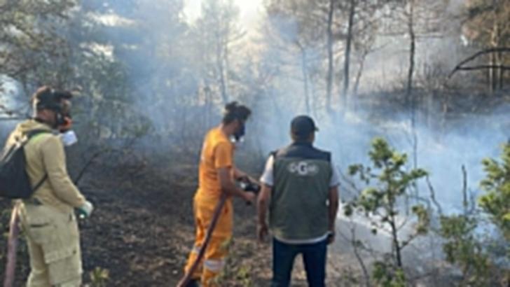 Bolu'nun Göynük ilçesinde orman yangını