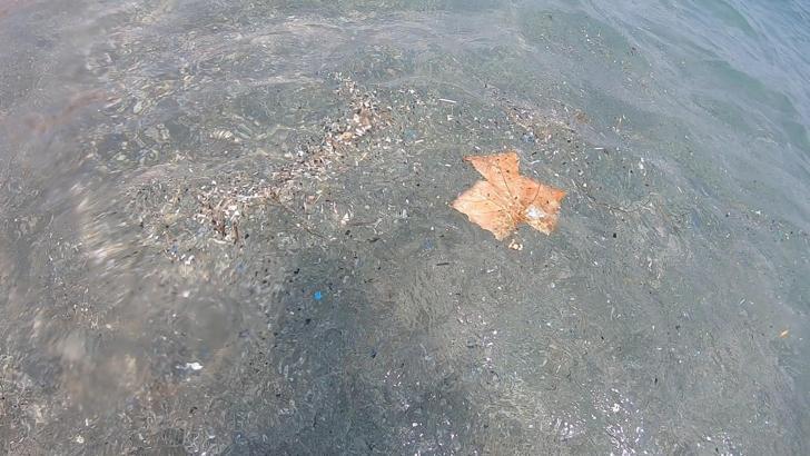Antalya kıyılarında mikroplastik alarmı; canlıların ölümüne sebep olabiliyor