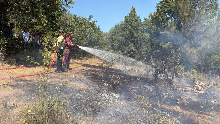 Bursa'da orman yangını (2)