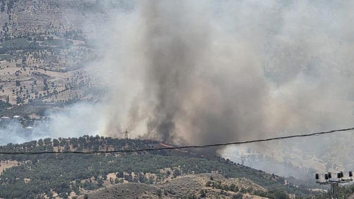 Adıyaman'da orman yangını