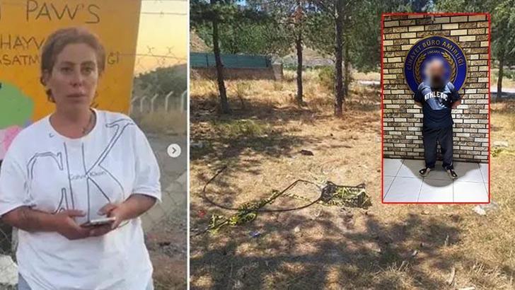 Dernek başkanı hayvansever Mutlu’nun öldürülmesiyle ilgili ağabeyi ve 4 kişi tutuklandı