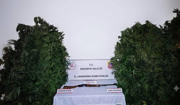 Jandarmanın 2 ayrı uyuşturucu operasyonunda 3 tutuklama