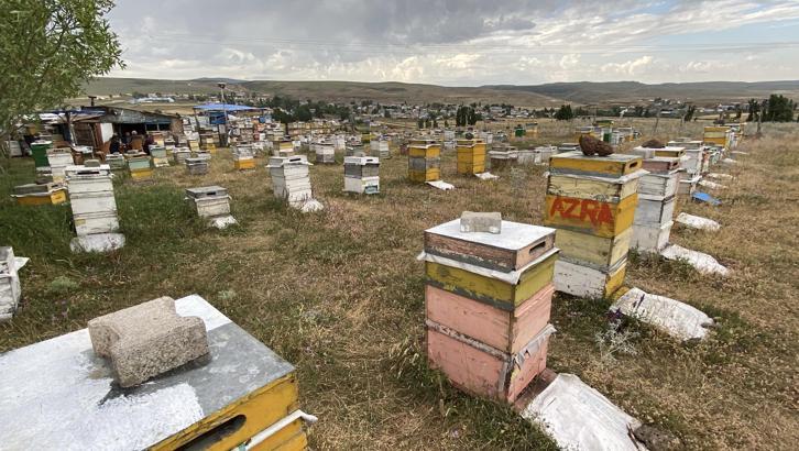 Kars’ta arıcılardan dolu ve fırtınaya karşı ‘taşlı’ önlem