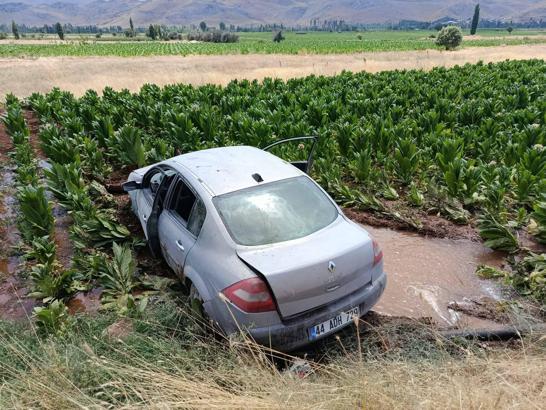 Malatya'da otomobil, tütün tarlasına girdi: 3 yaralı