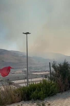 Hatay'da orman yangını