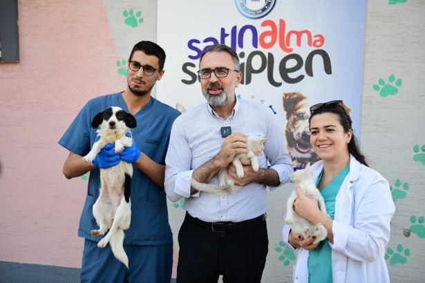 Kestel Belediyesi’nden sokak hayvanları için ‘Sahiplen Kestel’ platformu