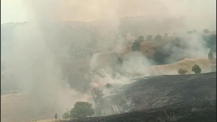 Malatya'da orman yangını