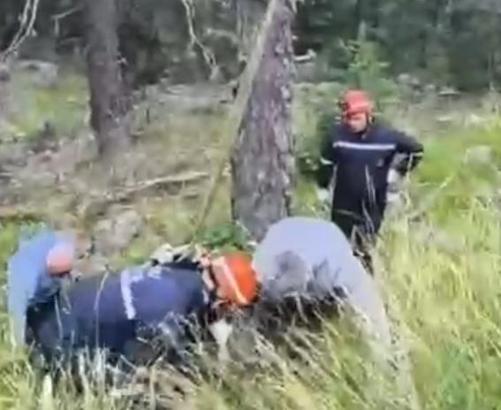 Uçuruma yuvarlanan ineği itfaiye vinçle kurtardı