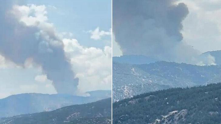 Aydın'da orman yangını
