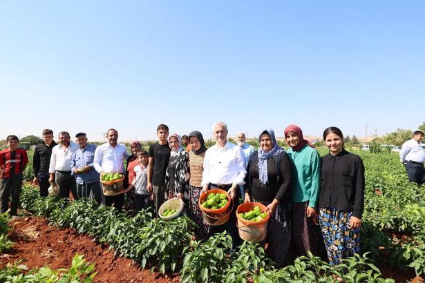 Gaziantep'te çiftçilere 53 milyondan fazla fide desteği