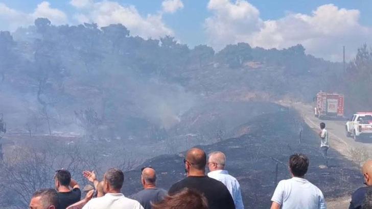 Balıkesir'de orman yangını