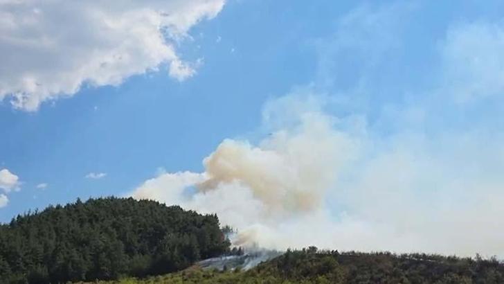 Balıkesir Dursunbey'de orman yangını
