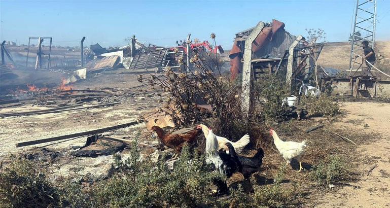 Tekirdağ'da anız yangını; 4 çiftlik evi yandı