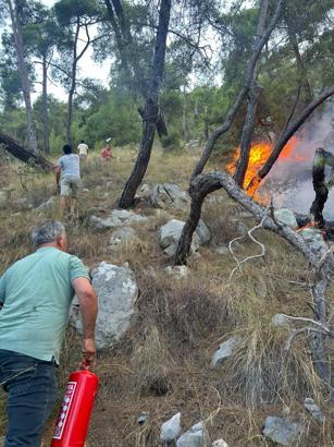 Antalya'da orman yangını (3)