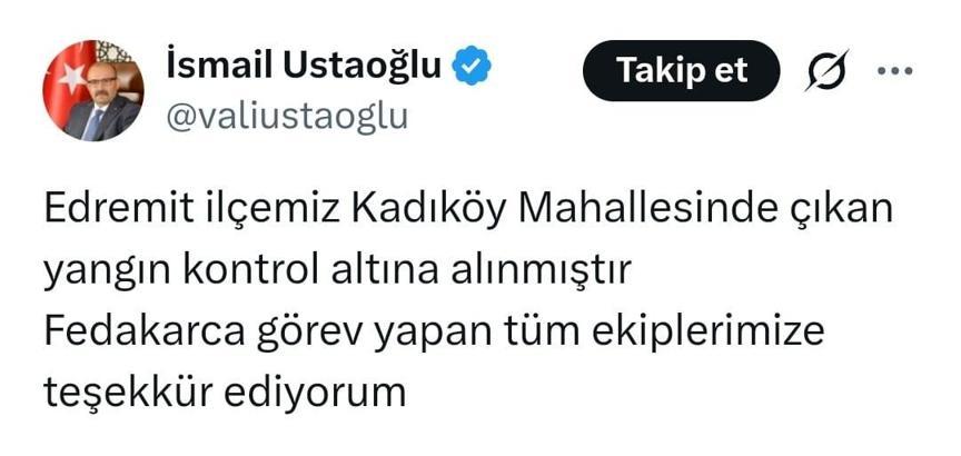 Balıkesir'de orman yangını (4)