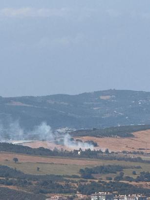 Bursa’da anız yangını