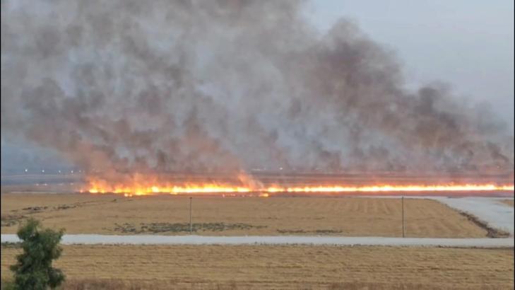 Nusaybin’de, mayınlı sınır hattında anız yangını