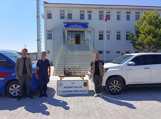 Tuz Gölü’nde nesli tükenen suna ördeği avlayan 1 kişiye 151 bin 528 TL para cezası