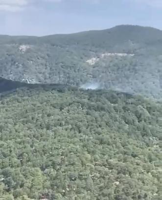 Balıkesir'de orman yangını