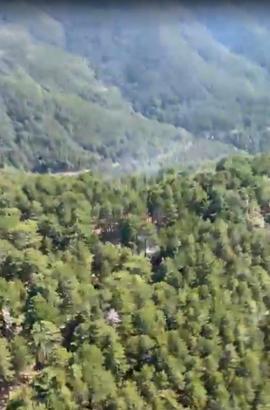Balıkesir'de orman yangını (2)